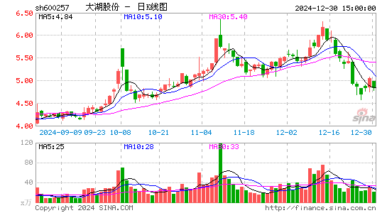 大湖股份