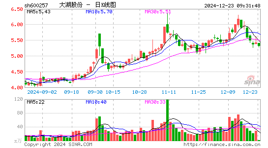 大湖股份