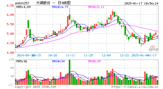 大湖股份