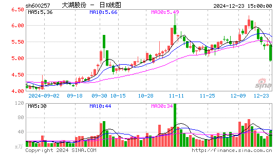 大湖股份