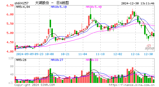 大湖股份