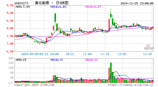 嘉化能源