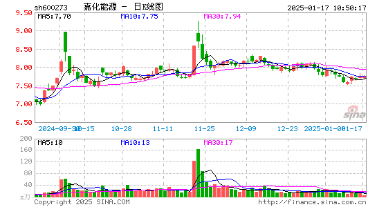 嘉化能源