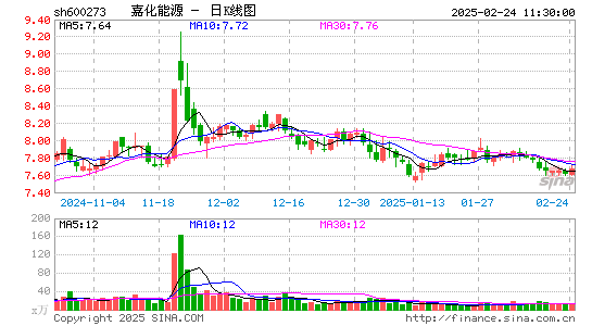 嘉化能源