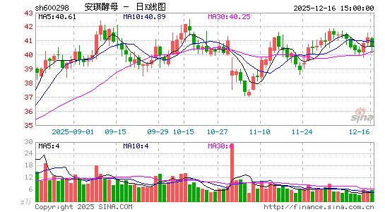 ������ĸ