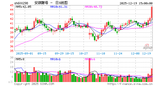 ������ĸ