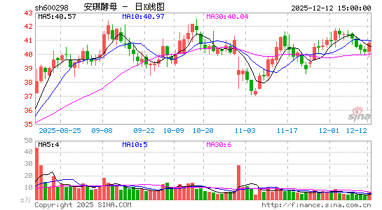 ������ĸ