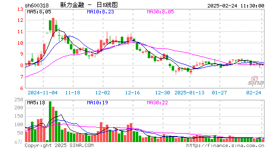 新力金融