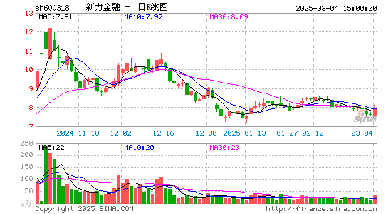 新力金融