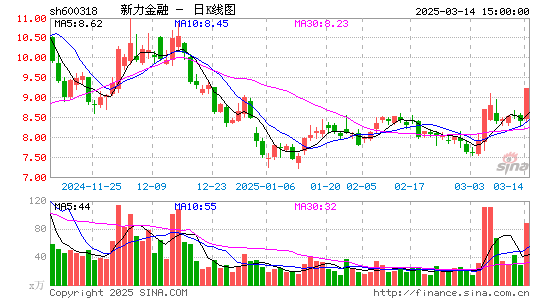 新力金融