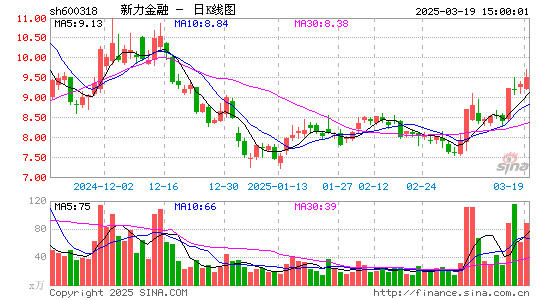 新力金融