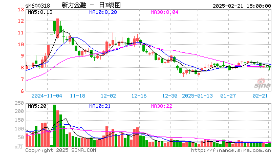 新力金融