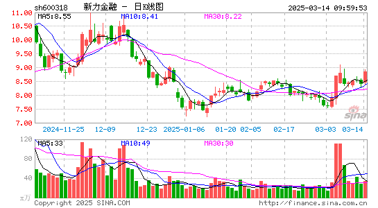 新力金融