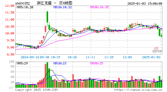 浙江龙盛