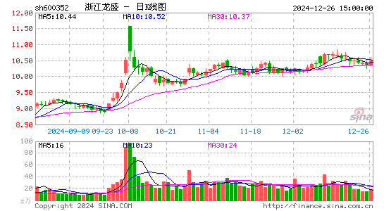 浙江龙盛