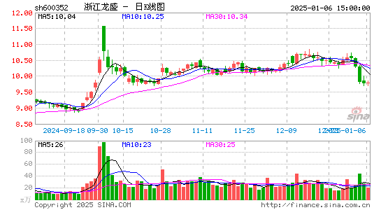 浙江龙盛