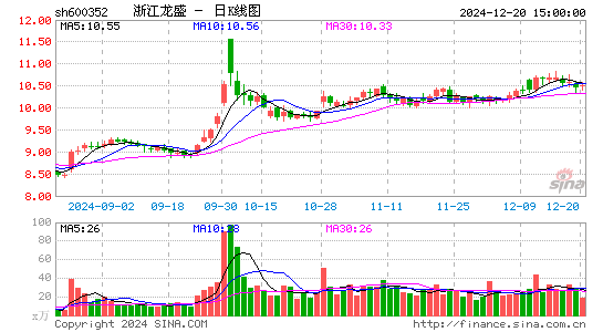 浙江龙盛