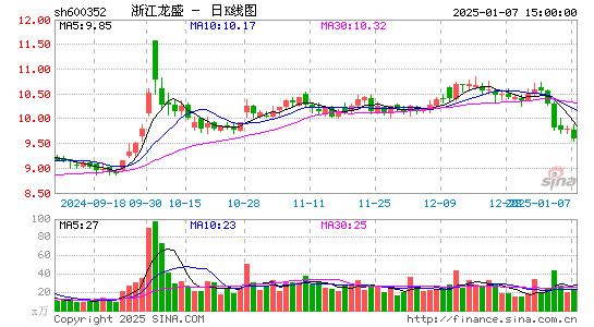 浙江龙盛