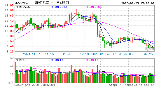 浙江龙盛