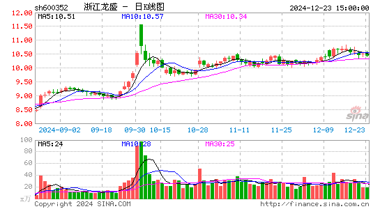 浙江龙盛