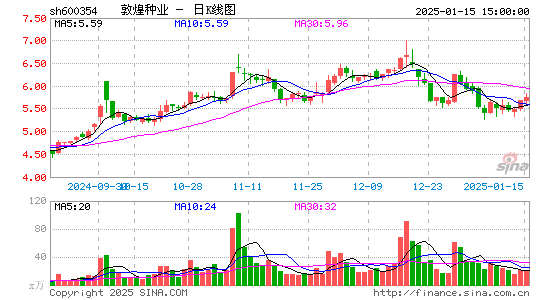 敦煌种业