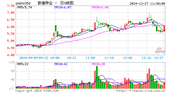 敦煌种业