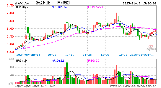 敦煌种业