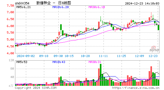 敦煌种业