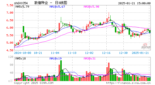 敦煌种业