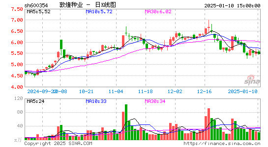 敦煌种业