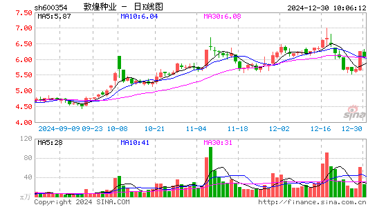 敦煌种业