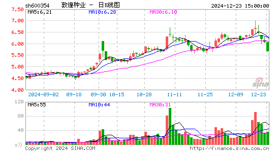 敦煌种业