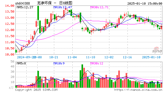 ST龙净