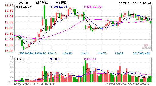 ST龙净