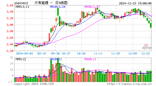 大有能源