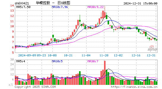 华嵘控股