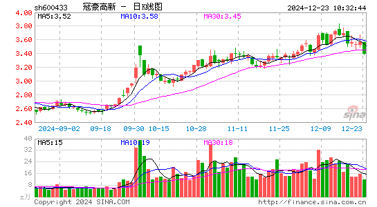 冠豪高新