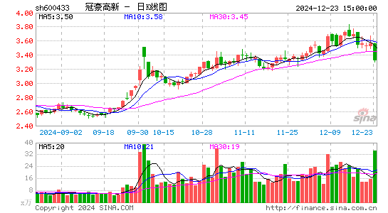 冠豪高新