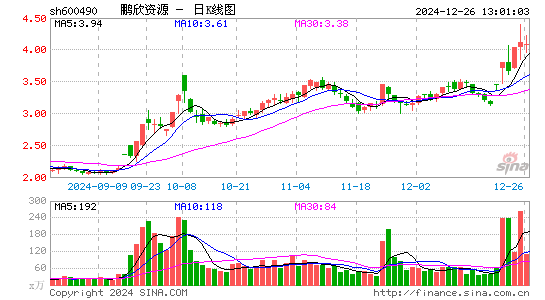 鹏欣资源