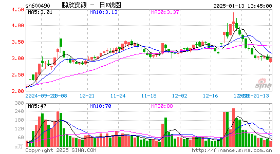 鹏欣资源