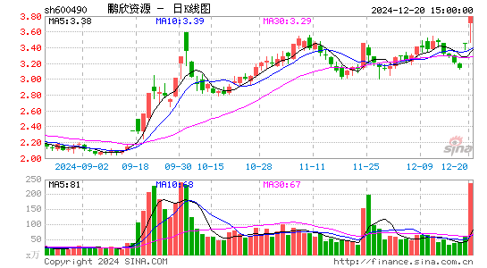 鹏欣资源