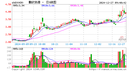 鹏欣资源