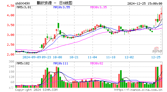 鹏欣资源