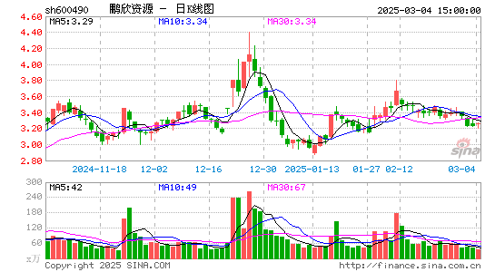 鹏欣资源