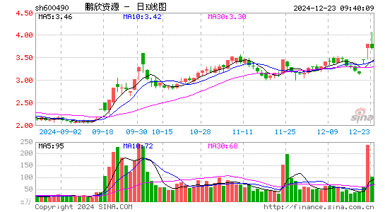 鹏欣资源