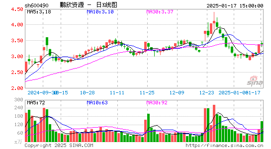 鹏欣资源