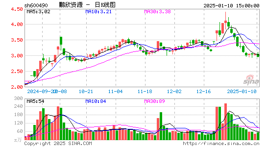 鹏欣资源