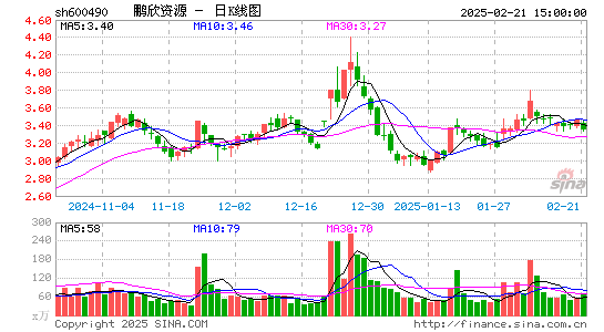 鹏欣资源