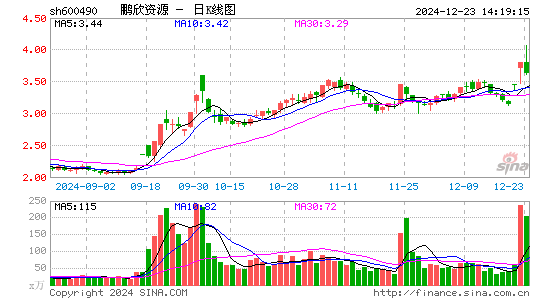 鹏欣资源