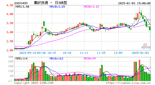 鹏欣资源